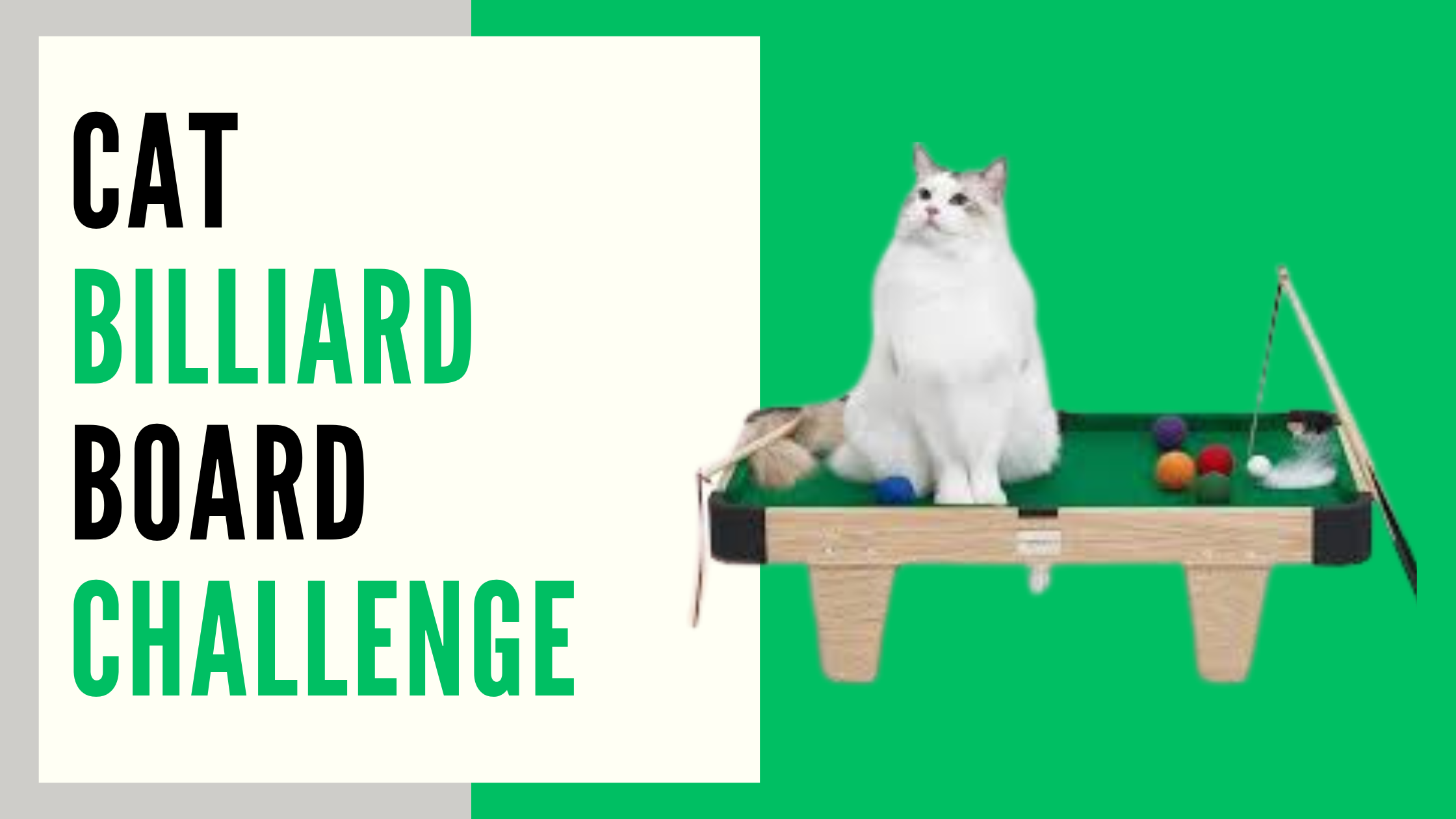 Cat Billiard Board Challenge