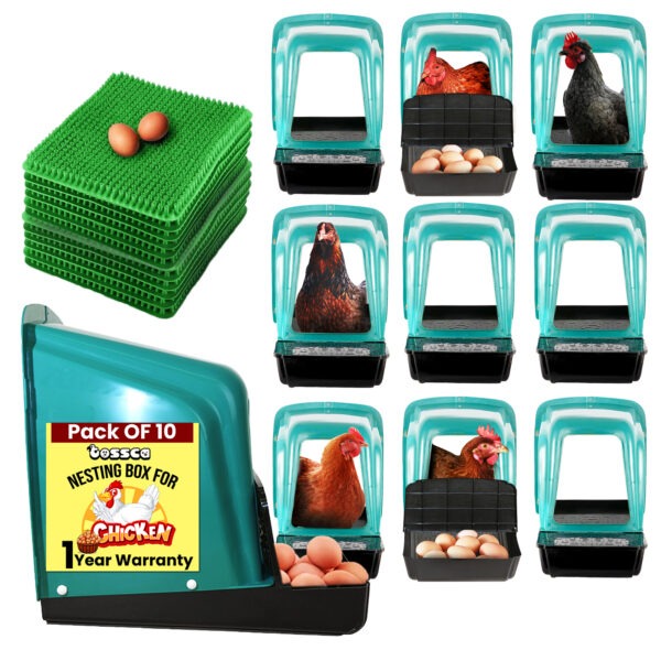 chicken laying boxes