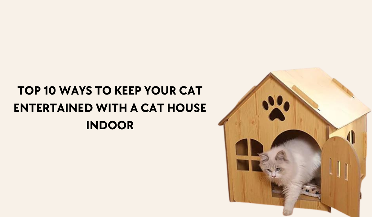 Cat house indoor